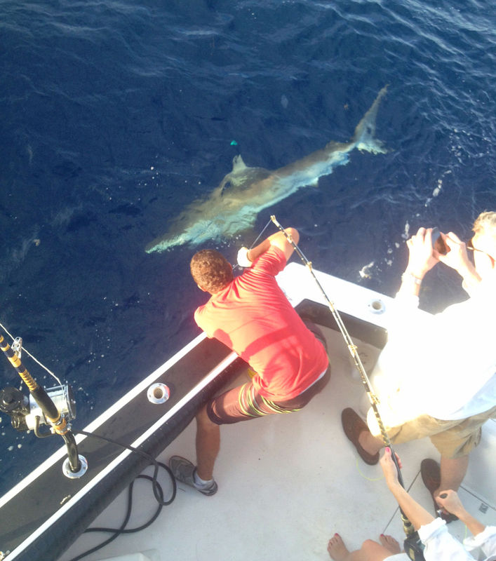 Deep Dropping For Tilefish And Mako Sharks