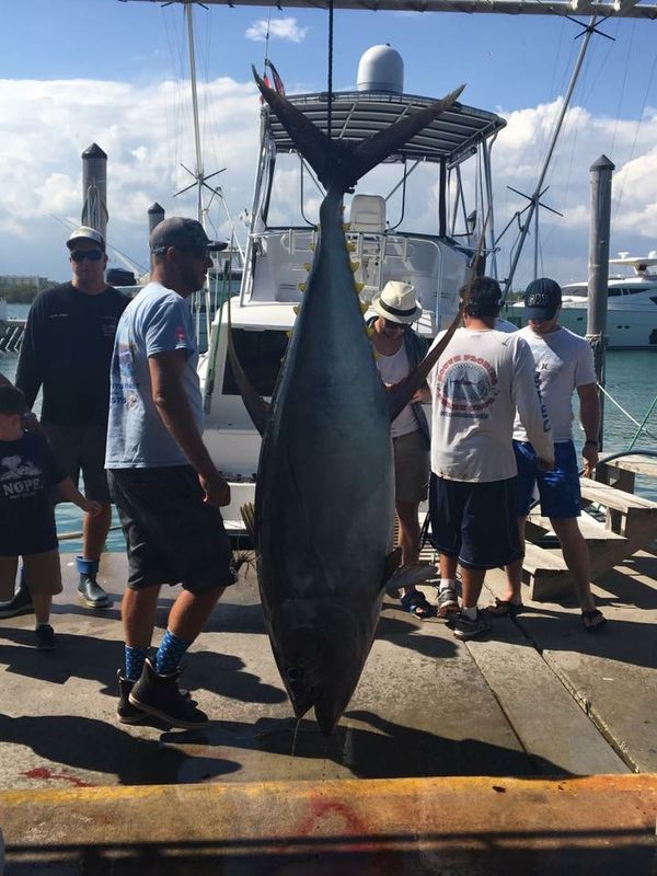 Sea Cross Fishing Miami