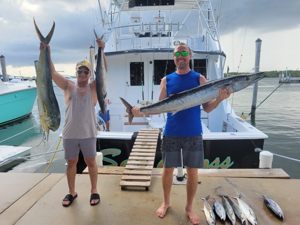 Birds Find Mahi-Mahi on the Reef