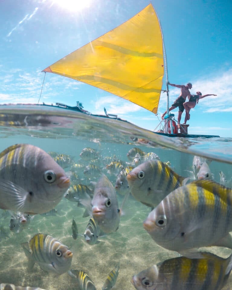 Bahamas fishing charters