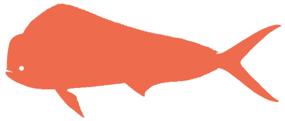 dolphin icon