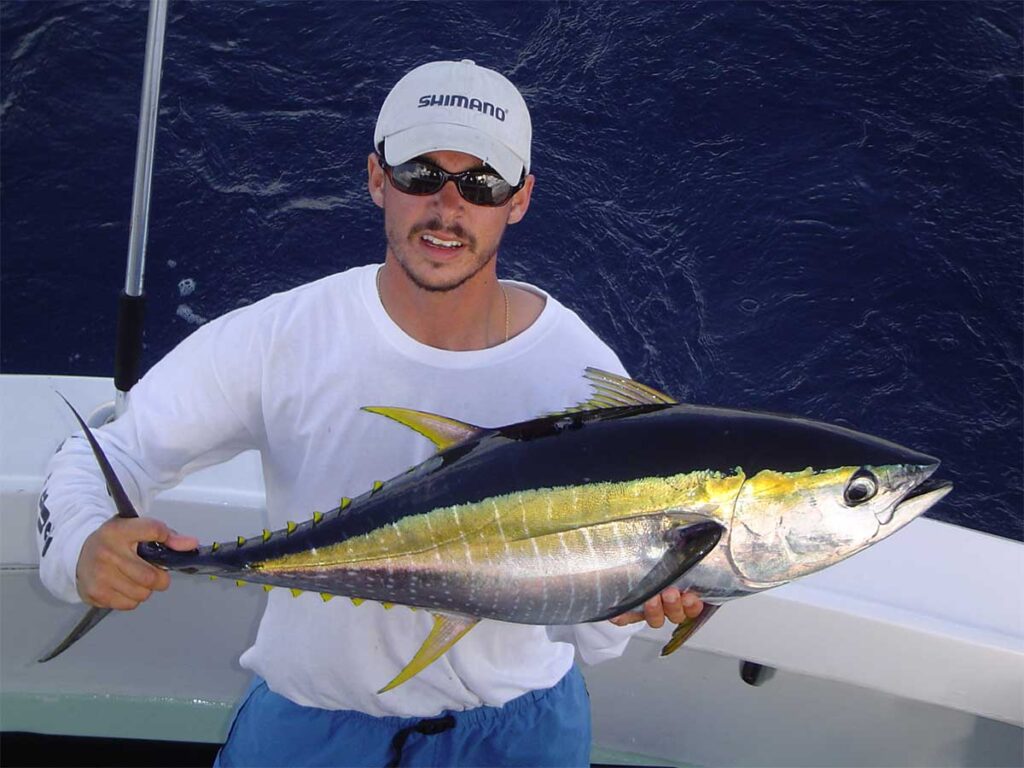blackfin tuna
